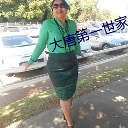 大唐第一世(世)家