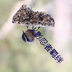 金年会(中国)官方网站