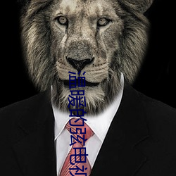 溫暖的弦電視劇全集免費觀看
