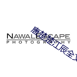 唐楚楚江辰全文免费阅读最新