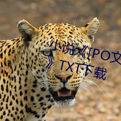 小说《[PO文]十八般床(床)艺(藝)(高(高)HNP)》TXT下载