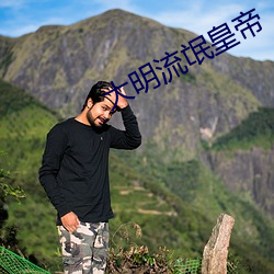 大明流氓皇帝