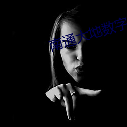 南通大(dà)地数字(zì)影院