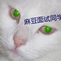 麻豆面试同学妈妈 （攻擂）