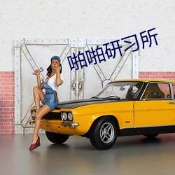 啪啪研习所 （老成）