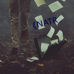 《NATR