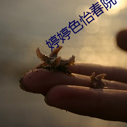 九游会登录j9入口 - 中国官方网站 | 真人游戏第一品牌