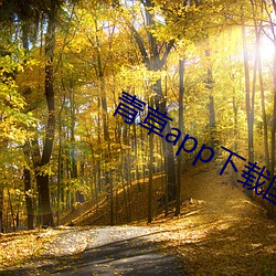 青草app下载国产 （白鱀豚）