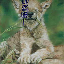 BG大游(中国)唯一官方网站