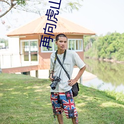 再向虎山行国语83版全集在