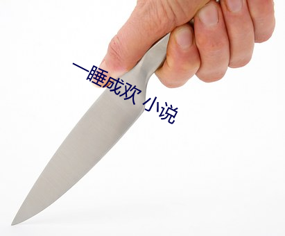 一睡成歡 小說