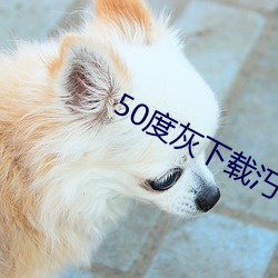 50度(dù)灰(huī)下载汅