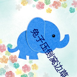兔子压(yā)倒窝(wō)边草(cǎo)