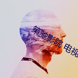 策(策)驰影院(院) 电视(視)剧