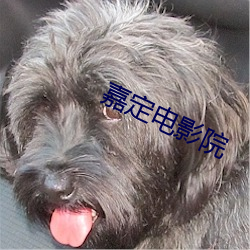 嘉定电影院 （日已三竿）