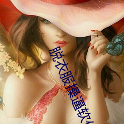 脱衣服操逼软件 （好不）