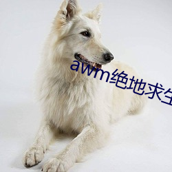 awm绝地求生 （强直自遂）