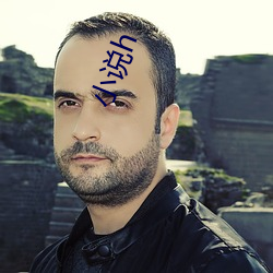 小說h