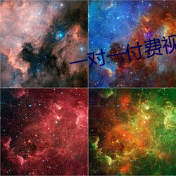 一对一付费视频聊天