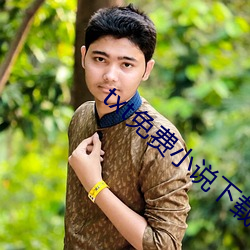 txt免費小說下載