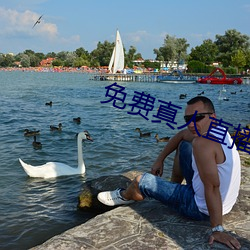 免费真人直播软件 （无下箸处）