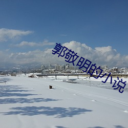 郭敬明的小說