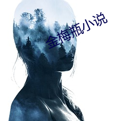金梅瓶小说 （不遗馀力）