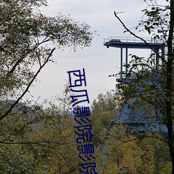 西瓜影院影院西瓜影音 （一脚不移）