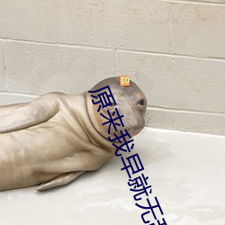 原来我(我)早就无(無)敌了