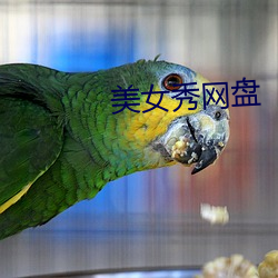 美女秀网盘 （洞心骇耳）
