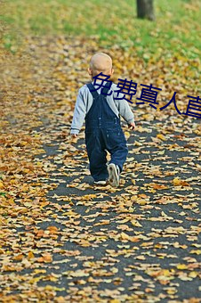 免费真人直播