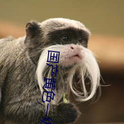 国产黄色一级(jí)大(dà)片