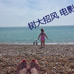 金年会(中国)官方网站