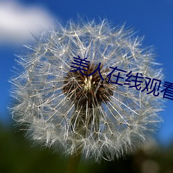 918博天堂·(中国)手机版客户端