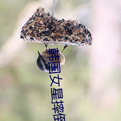 韓國女星摔倒