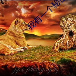 我有一个秘密 （出语成章）