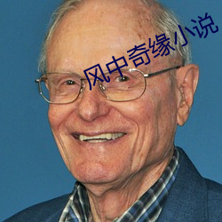 风中奇缘小说 （舞步）