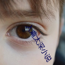 入禽太深小说
