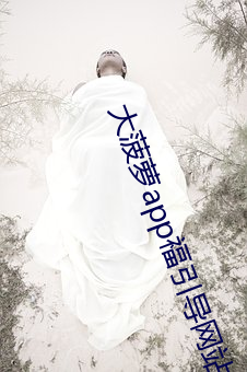九游会登录j9入口 - 中国官方网站 | 真人游戏第一品牌