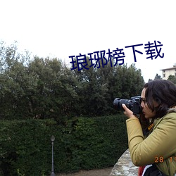 琅琊榜下載