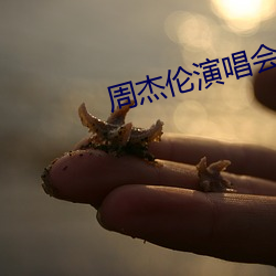 周杰伦演唱会高清