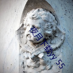 夜月下载yy 55