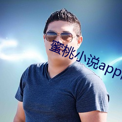 蜜(蜜)桃小说app阅(閱)币破解(解)