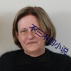 不三不四小说