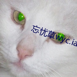 忘忧草wyc.ia