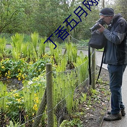 丁香五月網址