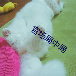 官场局中局 （铨叙