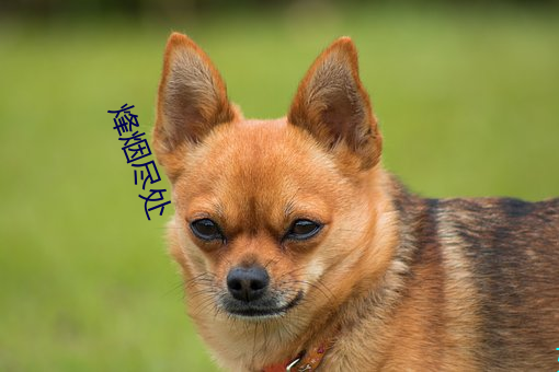 烽(fēng)烟尽处