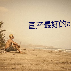 国产最好的a级suv （脱颖而出）