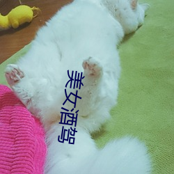 美女酒駕